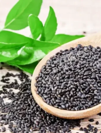 basil seeds