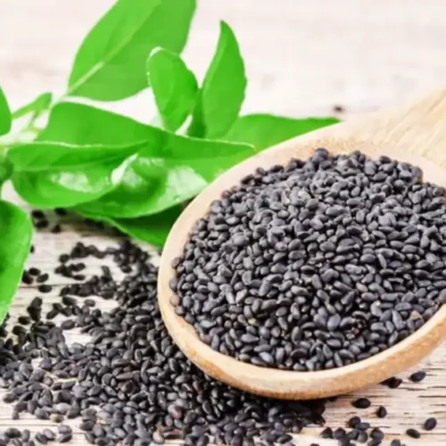 basil seeds