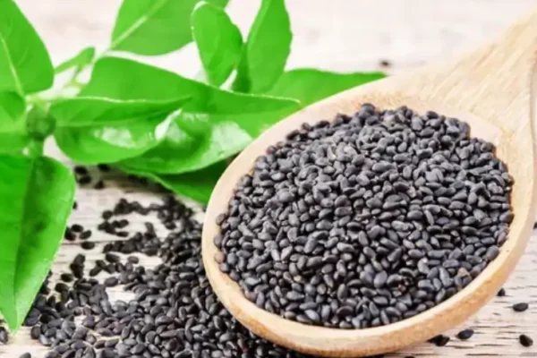basil seeds