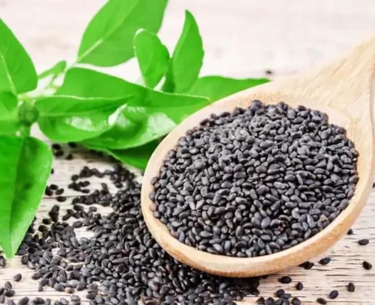 basil seeds