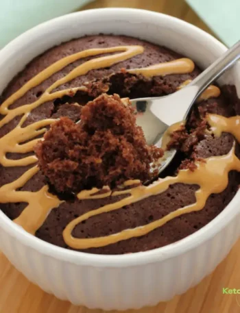 Chocolate Peanut Butter Mug Cake