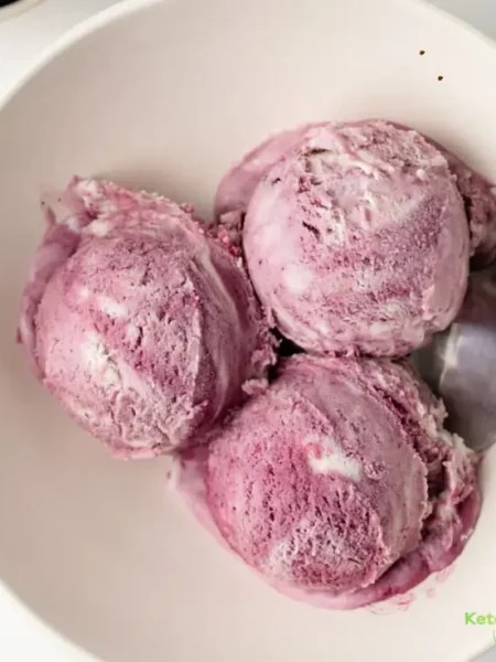 Berry Coconut Frozen Ice Cream